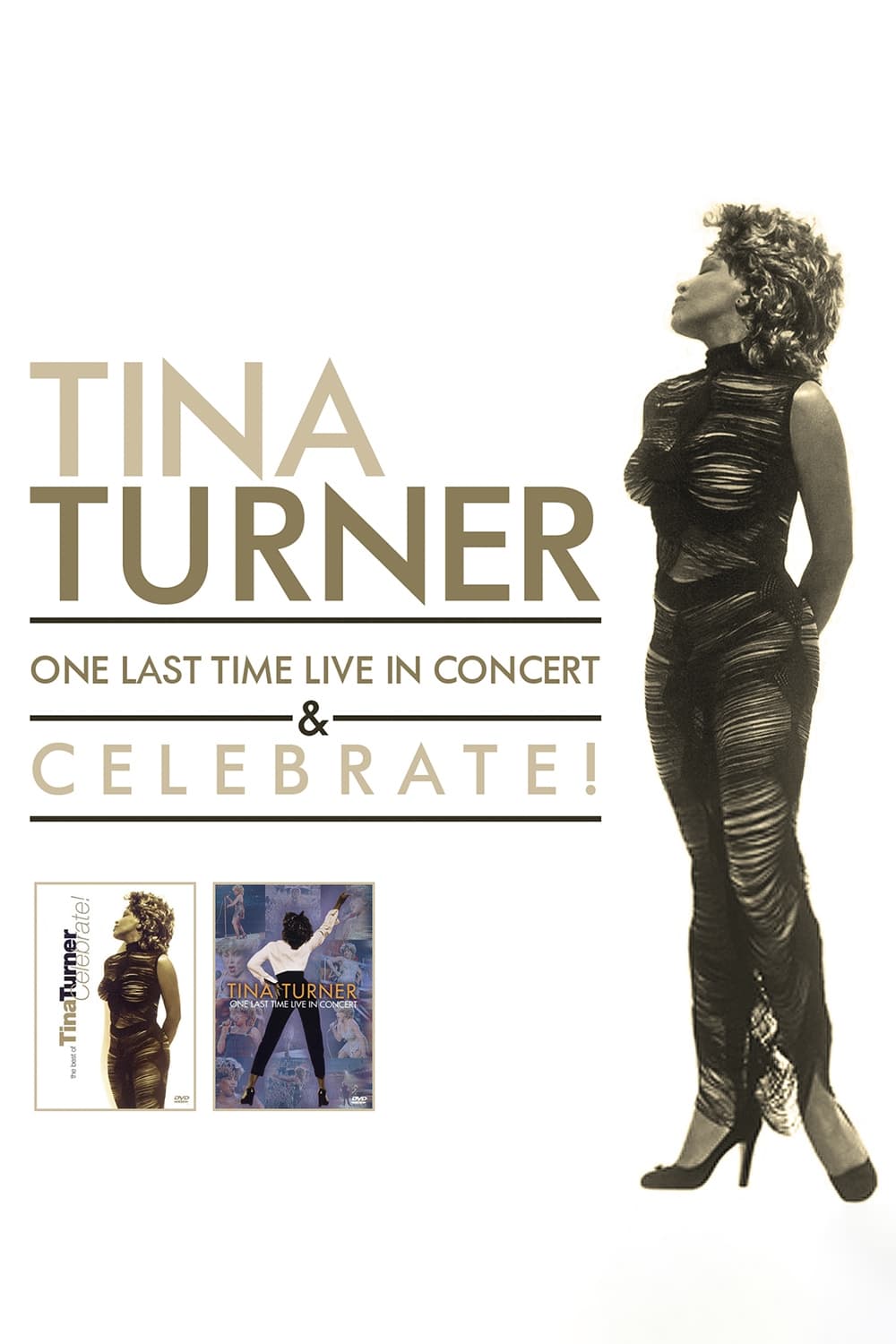 Tina Turner : One Last Time Live in Concert & Celebrate