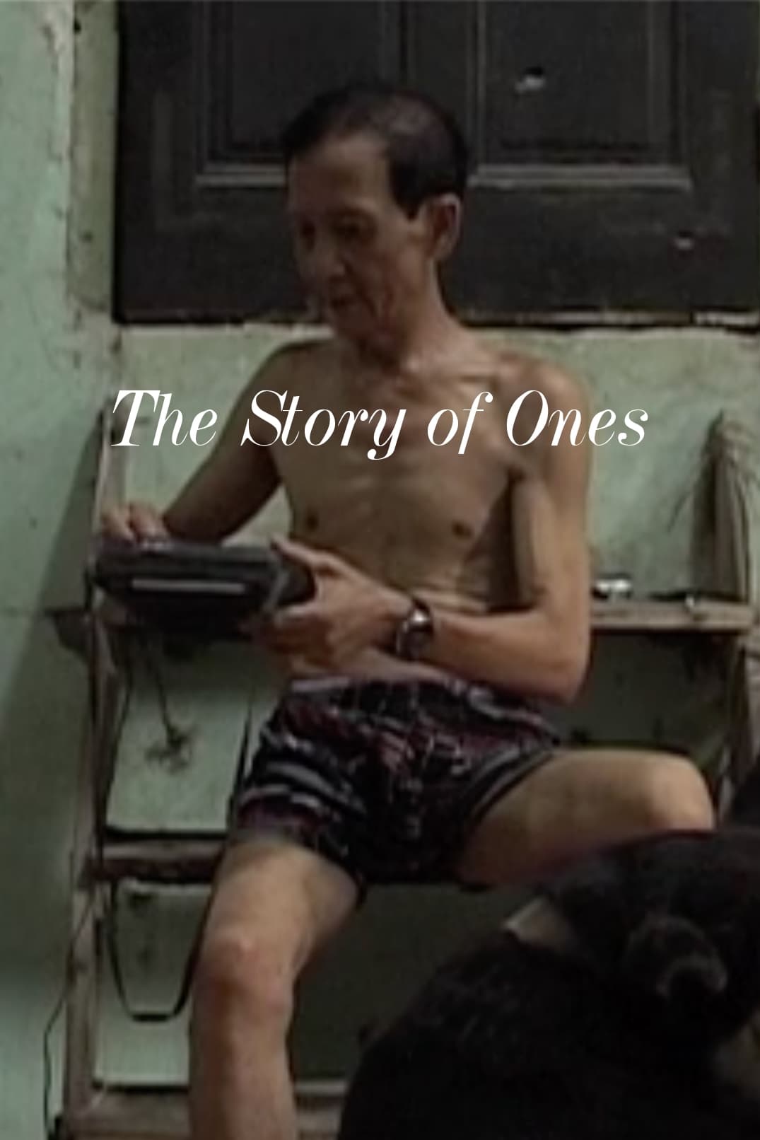 The Story of Ones
