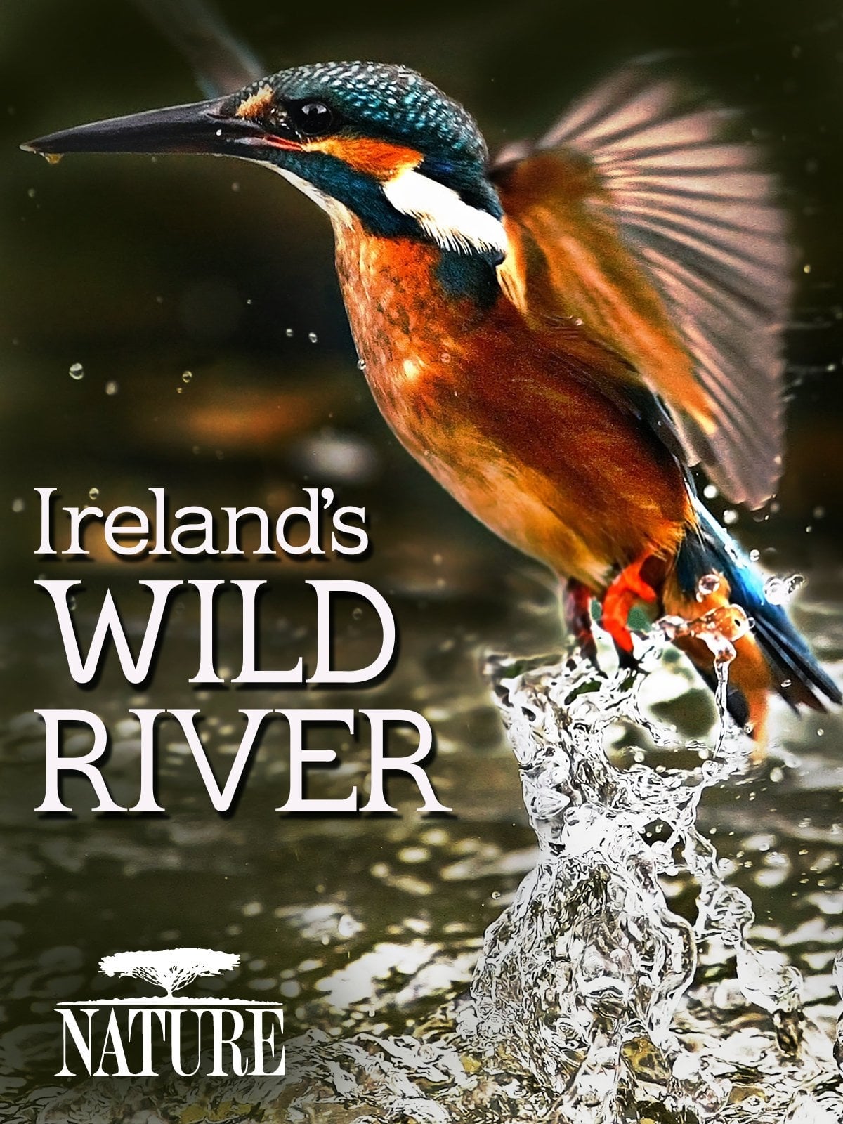 Ireland's Wild River