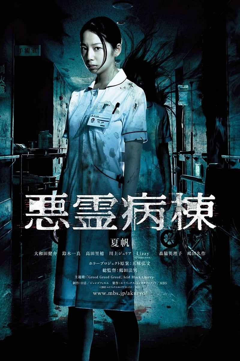 The Haunted Hospital (2013)