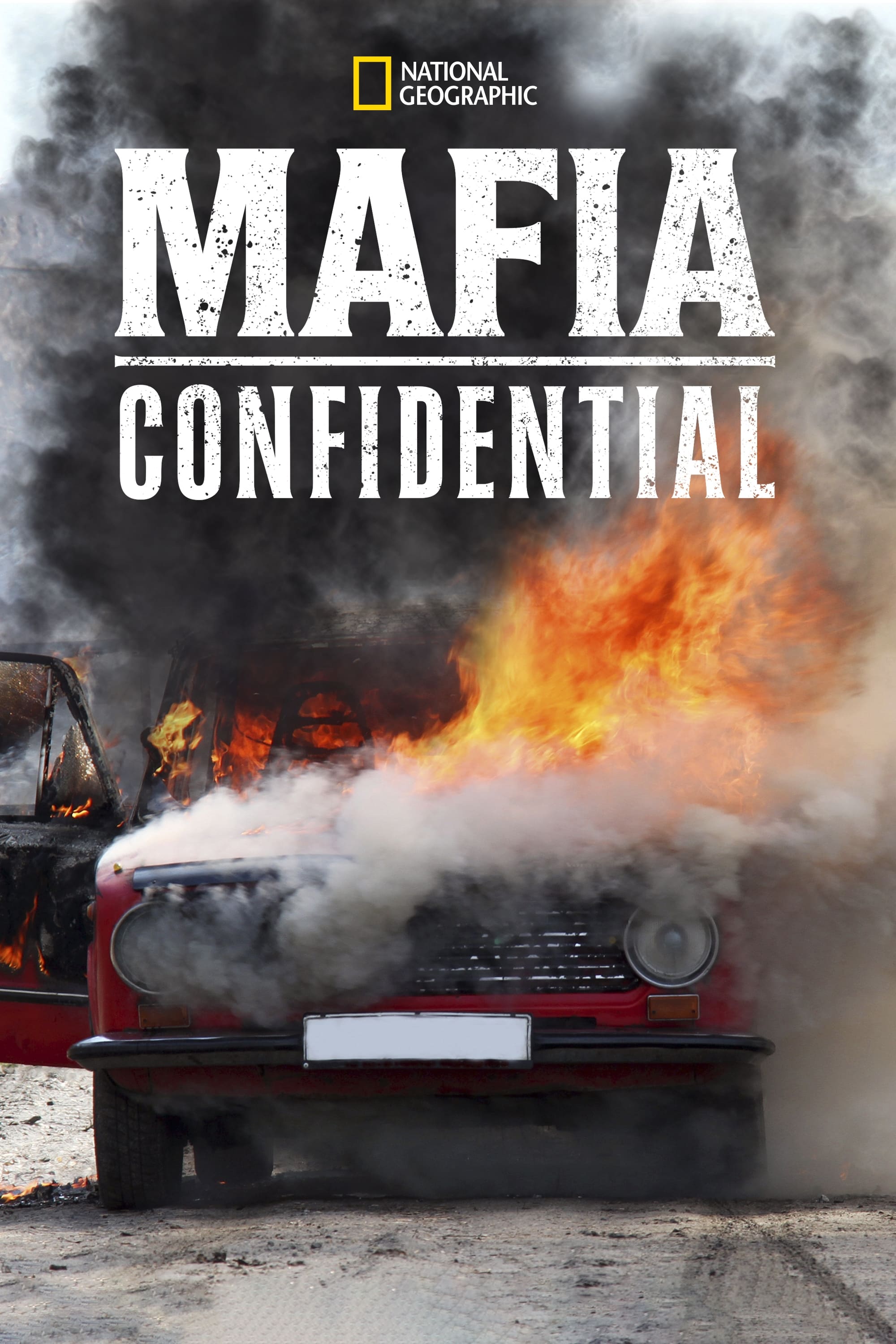 Mafia Confidential