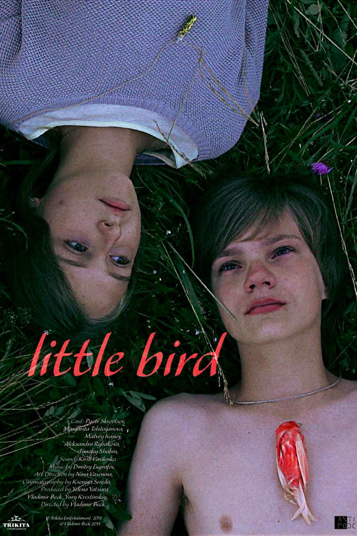 Little Bird (2014)