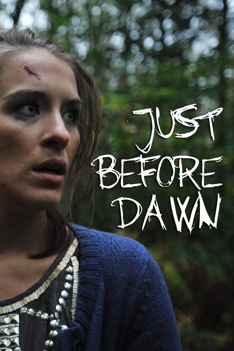 Just Before Dawn (2010)