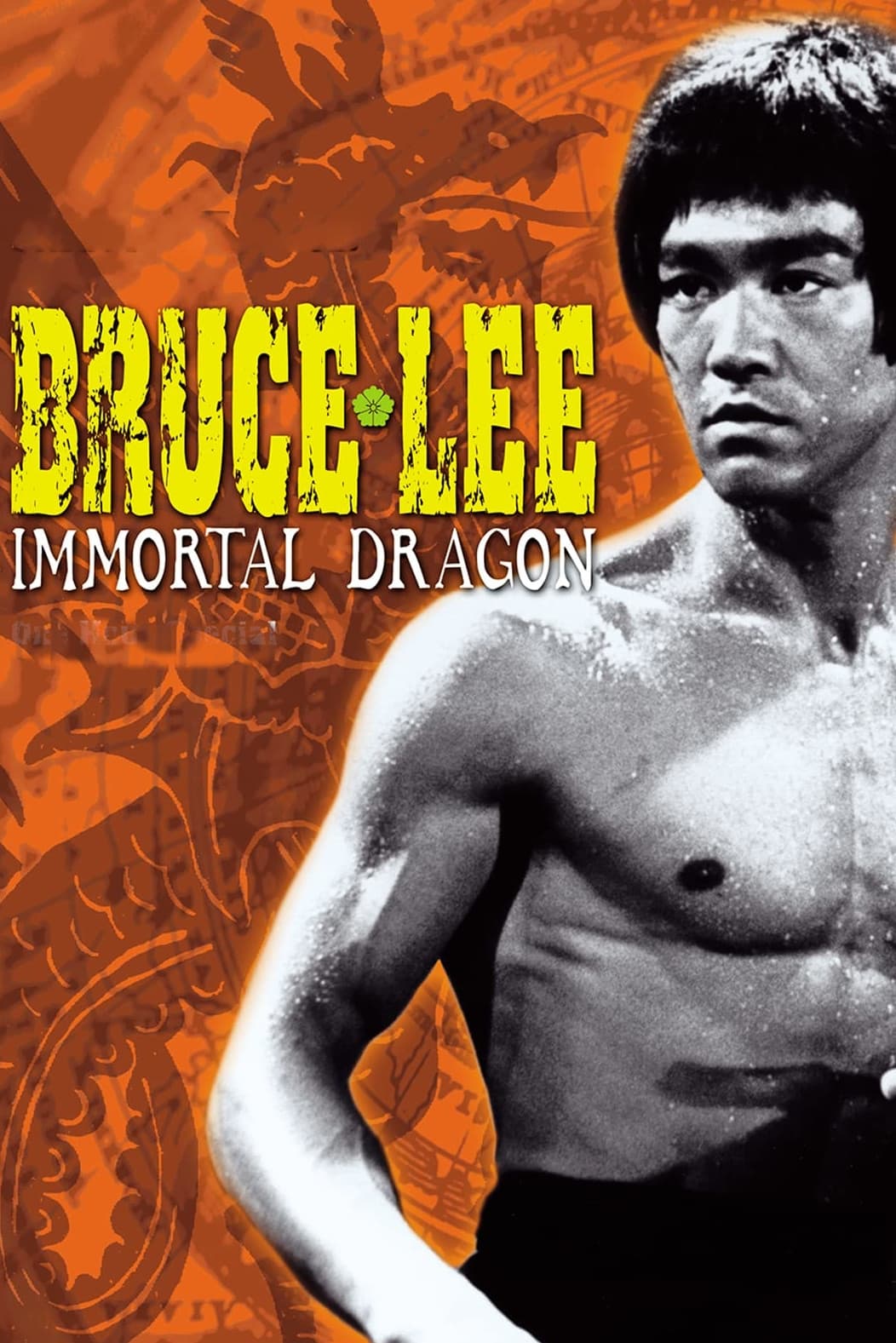 Bruce Lee: The Immortal Dragon (1994)