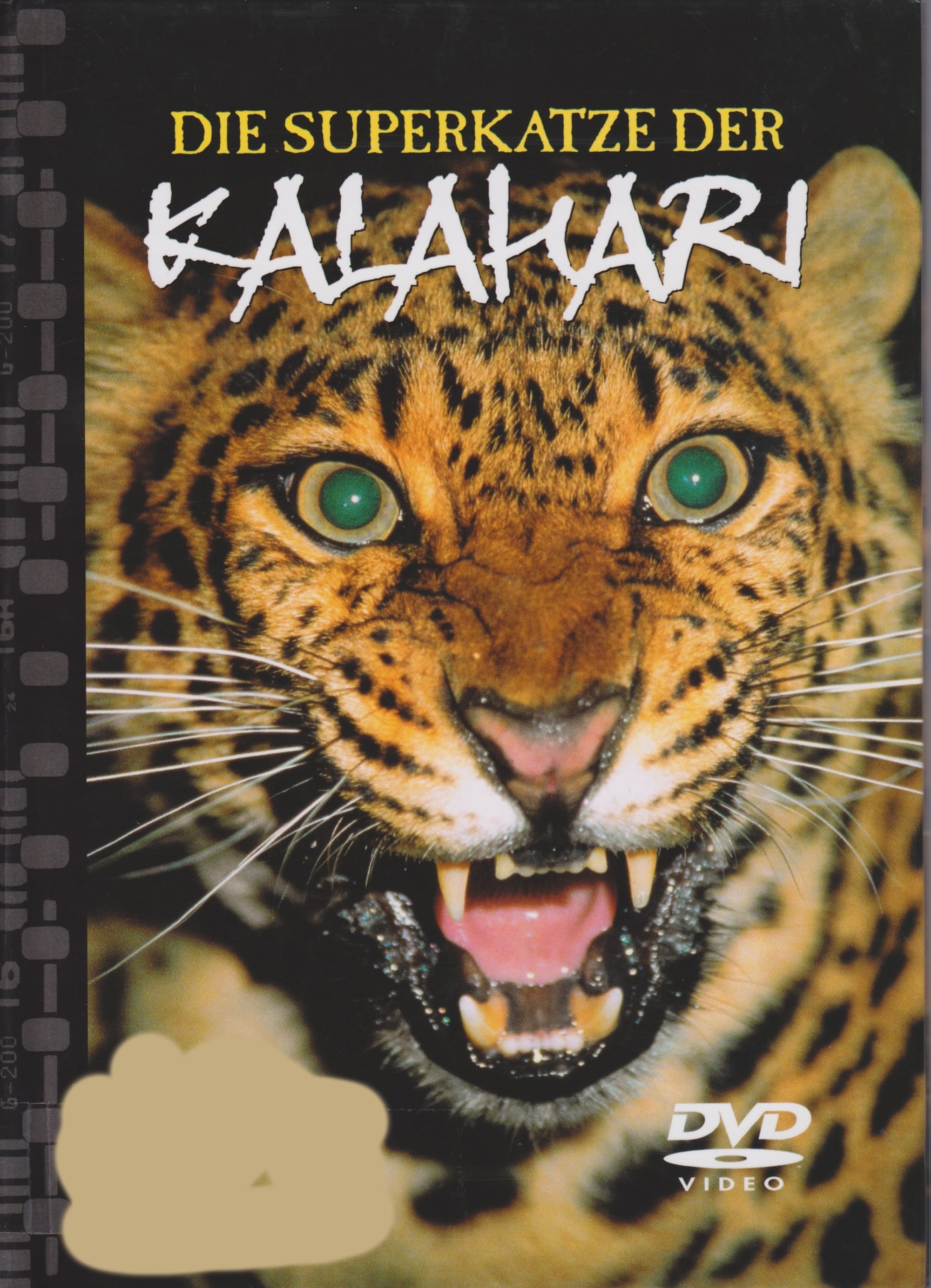 Natural Killers Predators Close Up: Kalahari Supercat