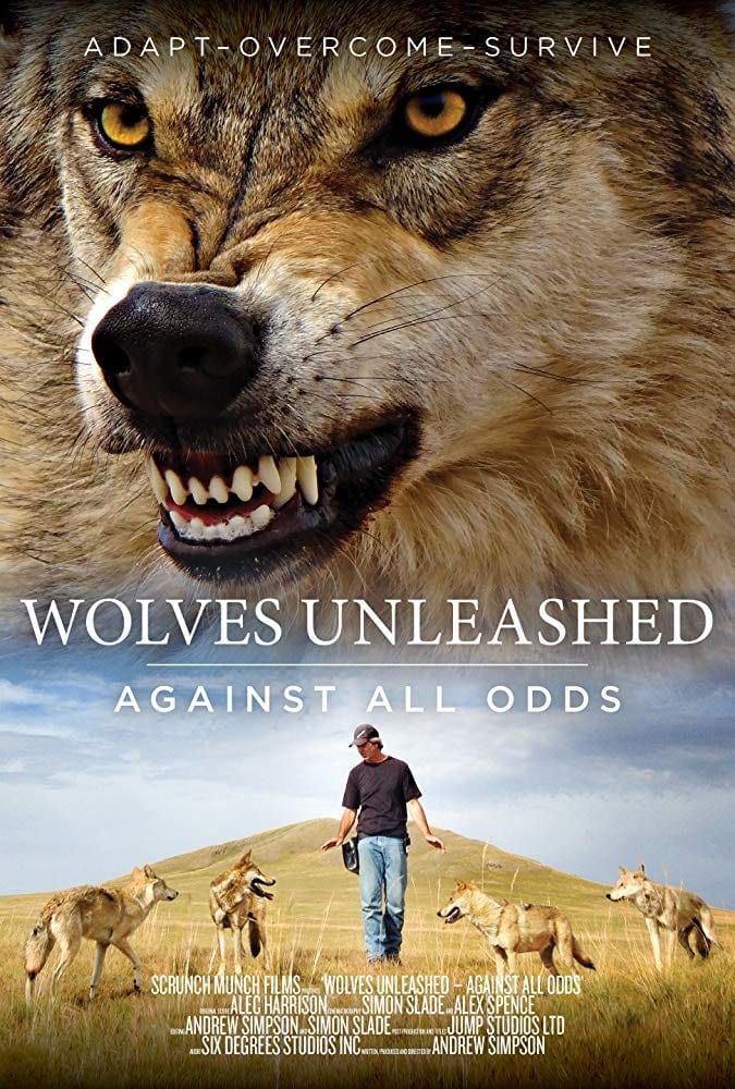 Wolves Unleashed: Against All Odds