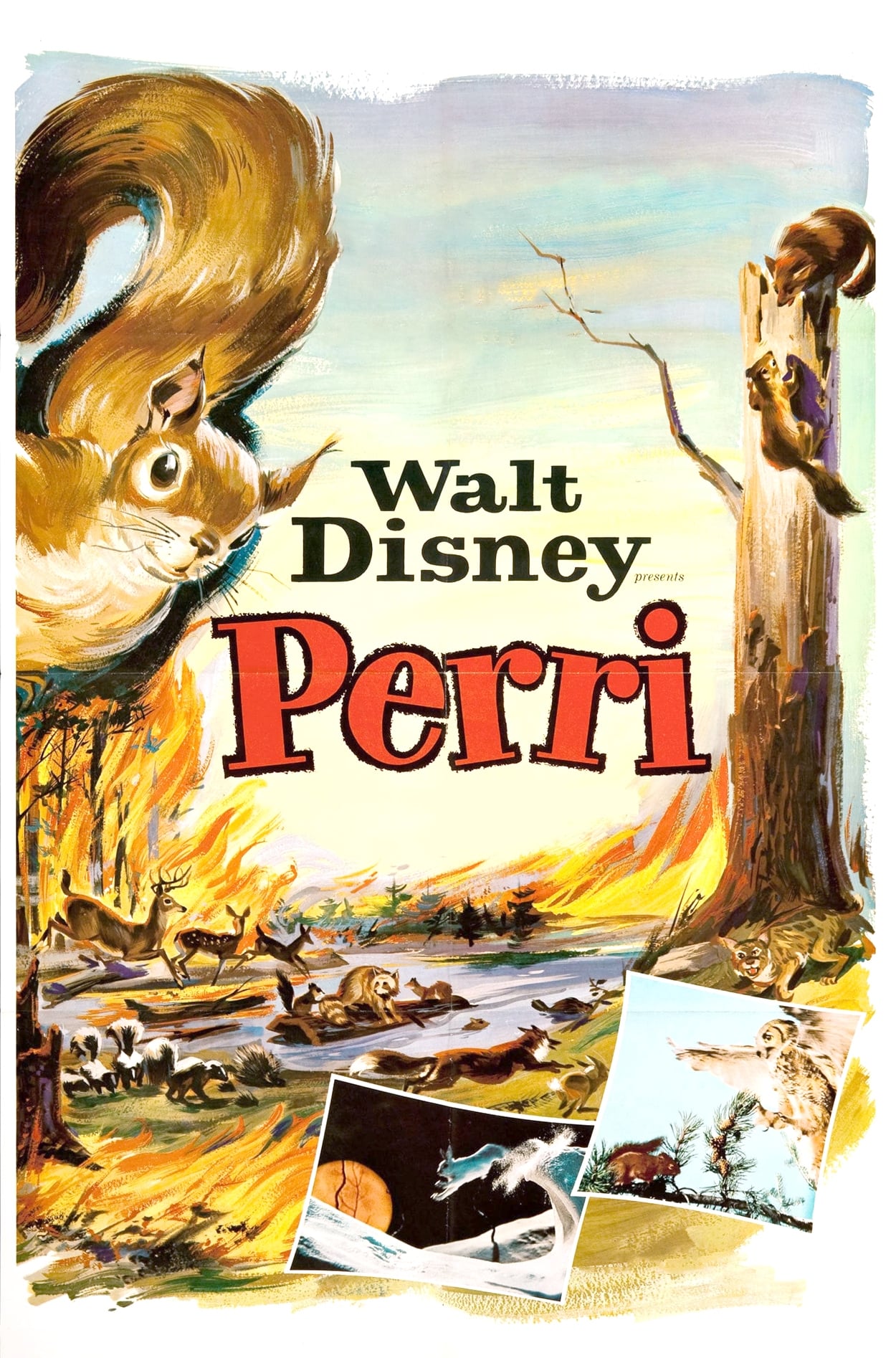 Perri (1957)