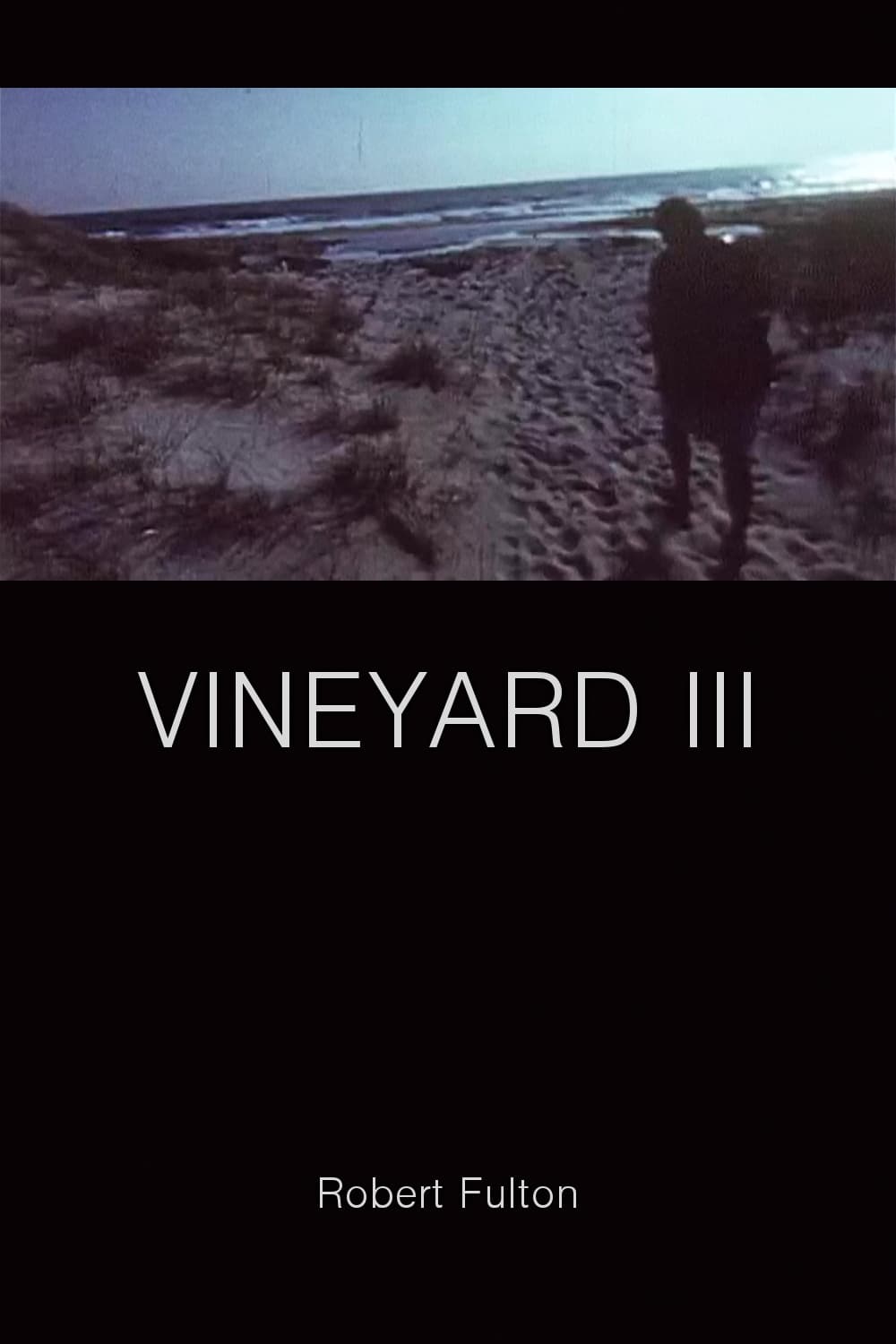Vineyard III