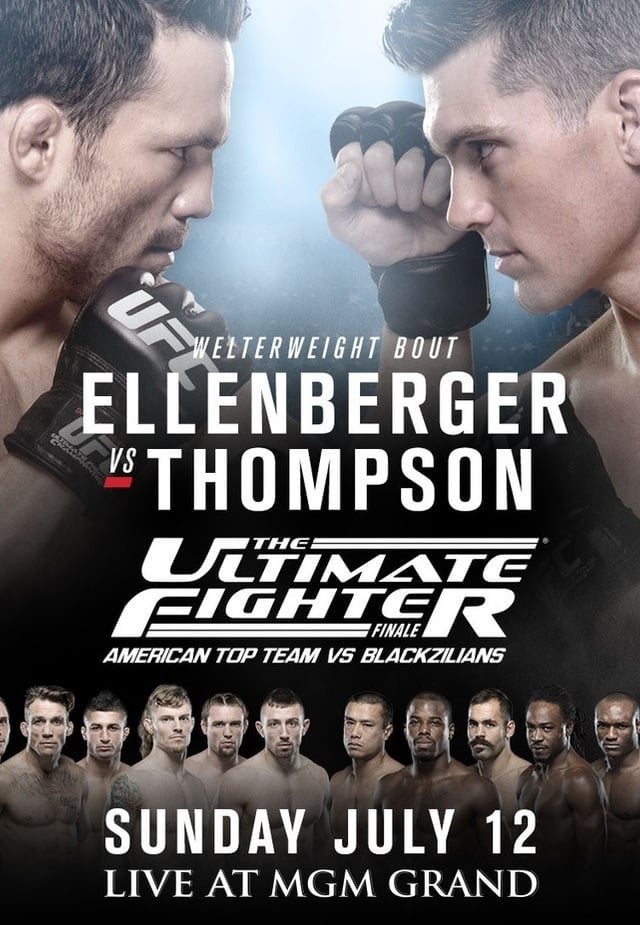 The Ultimate Fighter 21 Finale (2015)