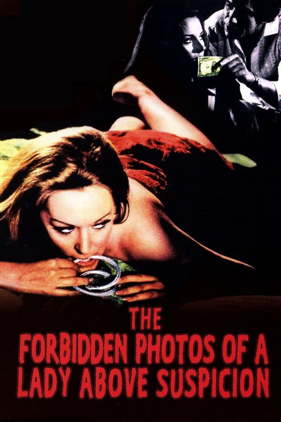 The Forbidden Photos of a Lady Above Suspicion (1970)