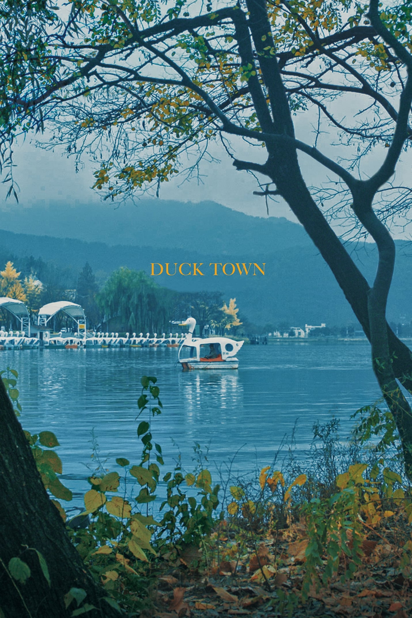 Duck Town