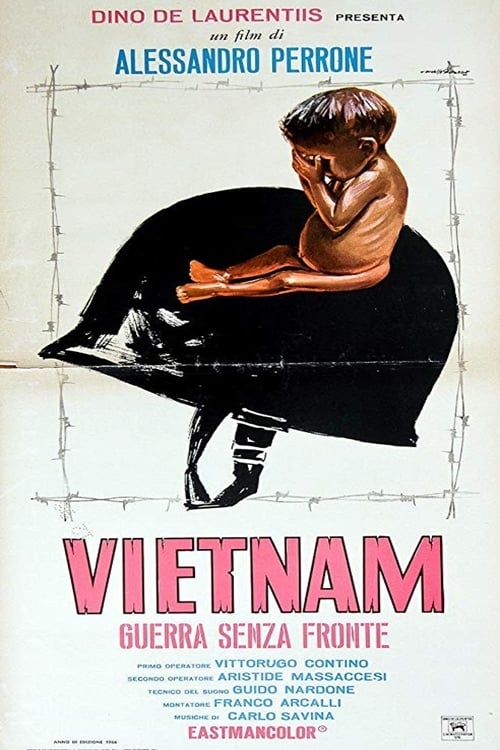 Vietnam guerra senza fronte