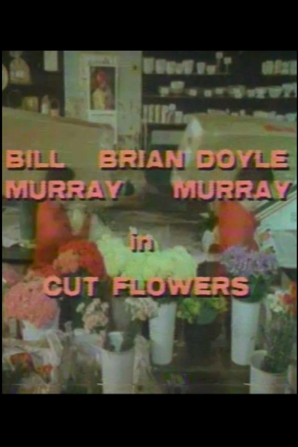 Cut Flowers (1981)