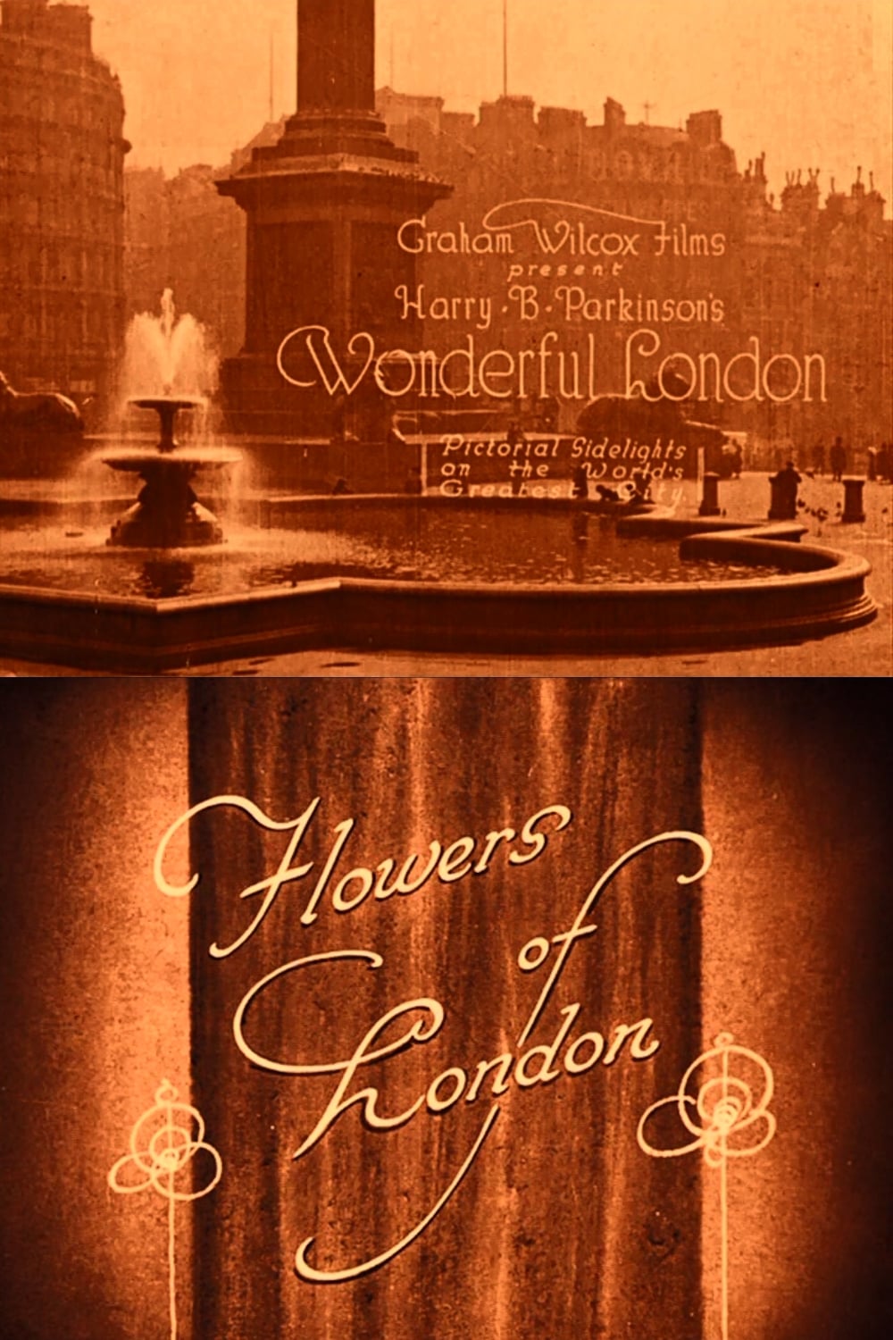 Wonderful London: Flowers of London