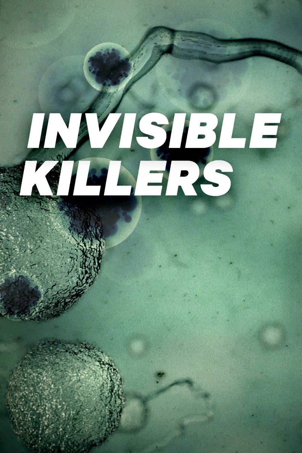Invisible Killers