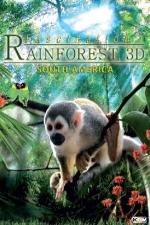 Fascination Rainforest 3D