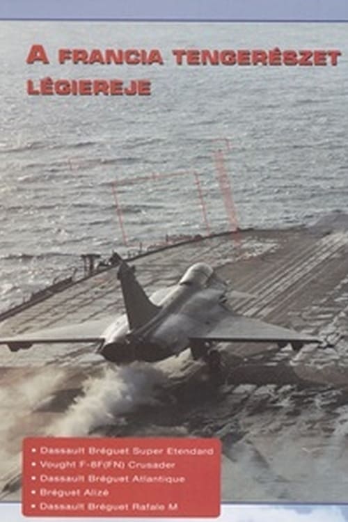 Combat in the Air - French Naval Air Power