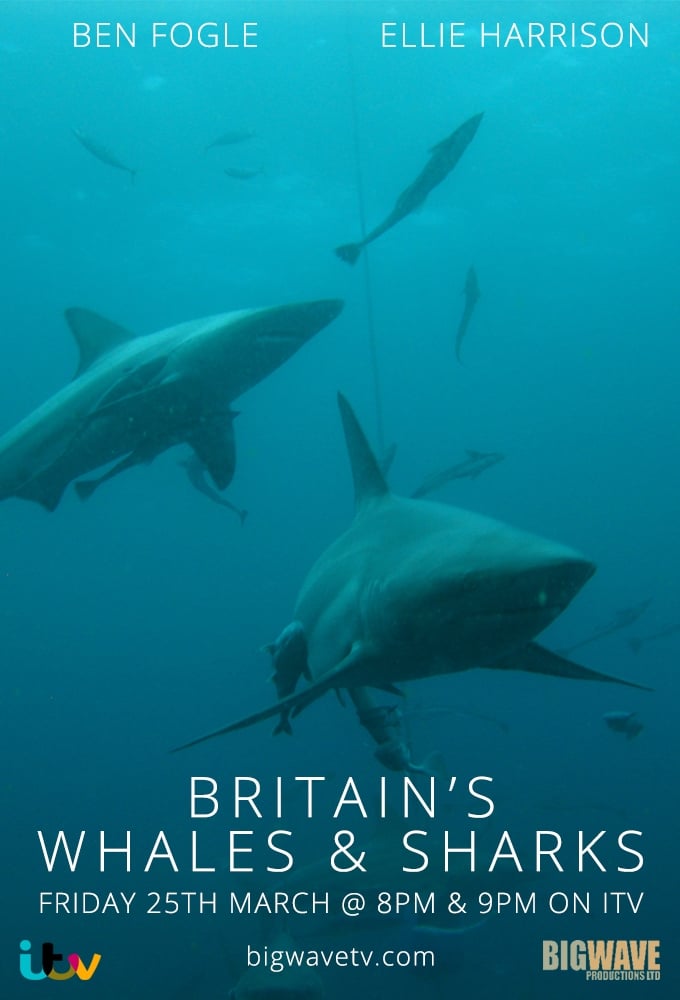 Britain's Whales and Sharks