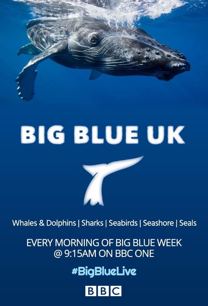 Big Blue UK