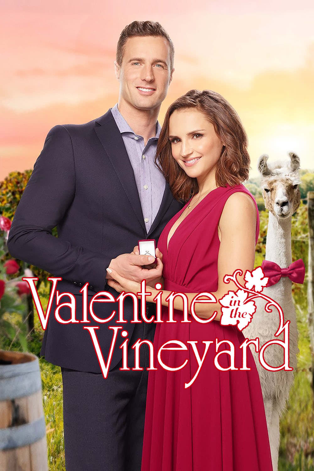Valentine in the Vineyard