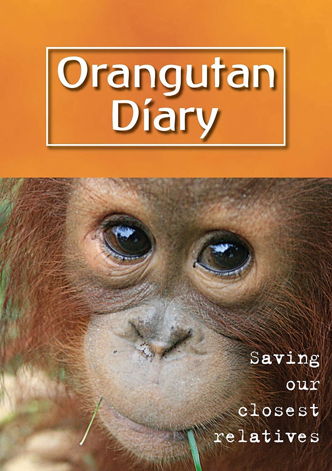 Orangutan Diary