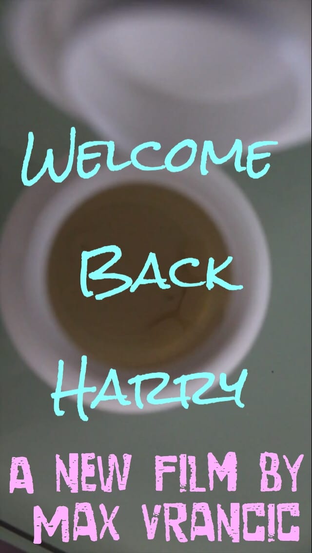 Welcome Back Harry