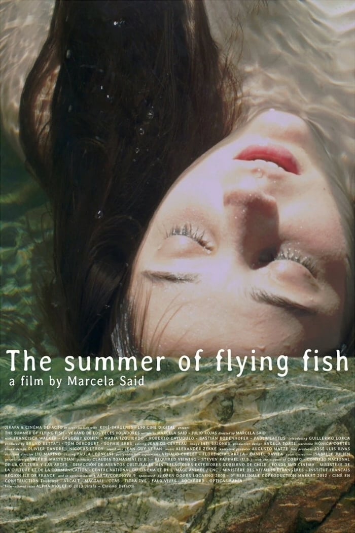 Der Sommer der fliegenden Fische