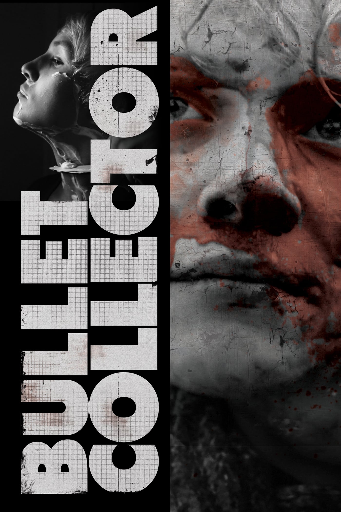 Bullet Collector (2012)