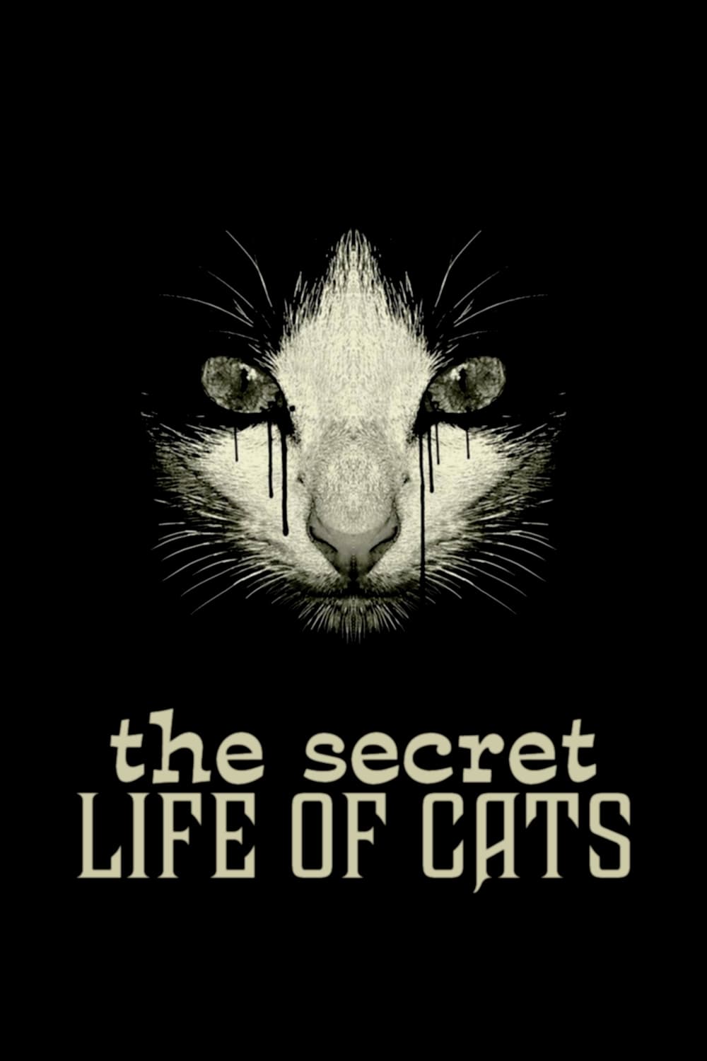 La vida secreta de los gatos