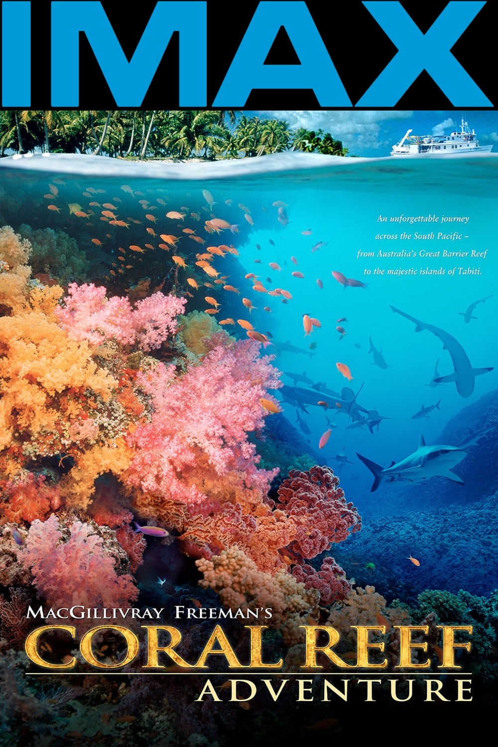Arrecifes de coral (2003)