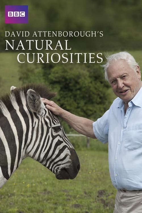 David Attenborough's Natural Curiosities (2013)