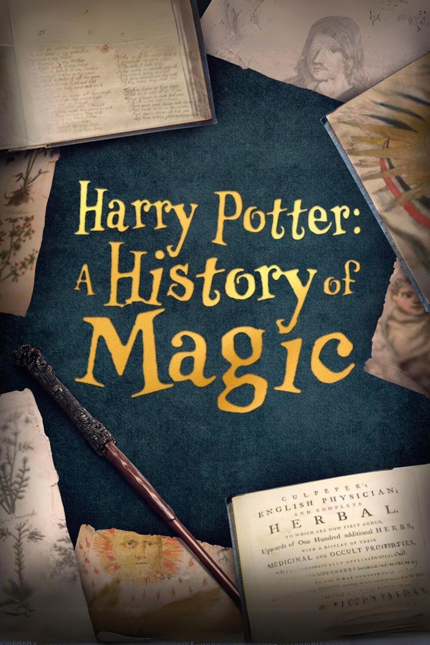 Harry Potter: A History Of Magic (2017)