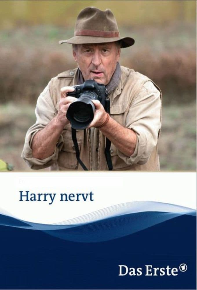 Harry nervt (2013)
