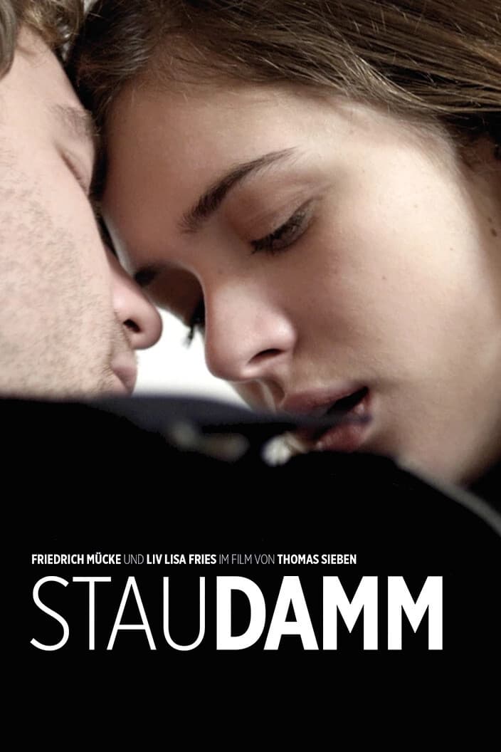 Staudamm (2014)