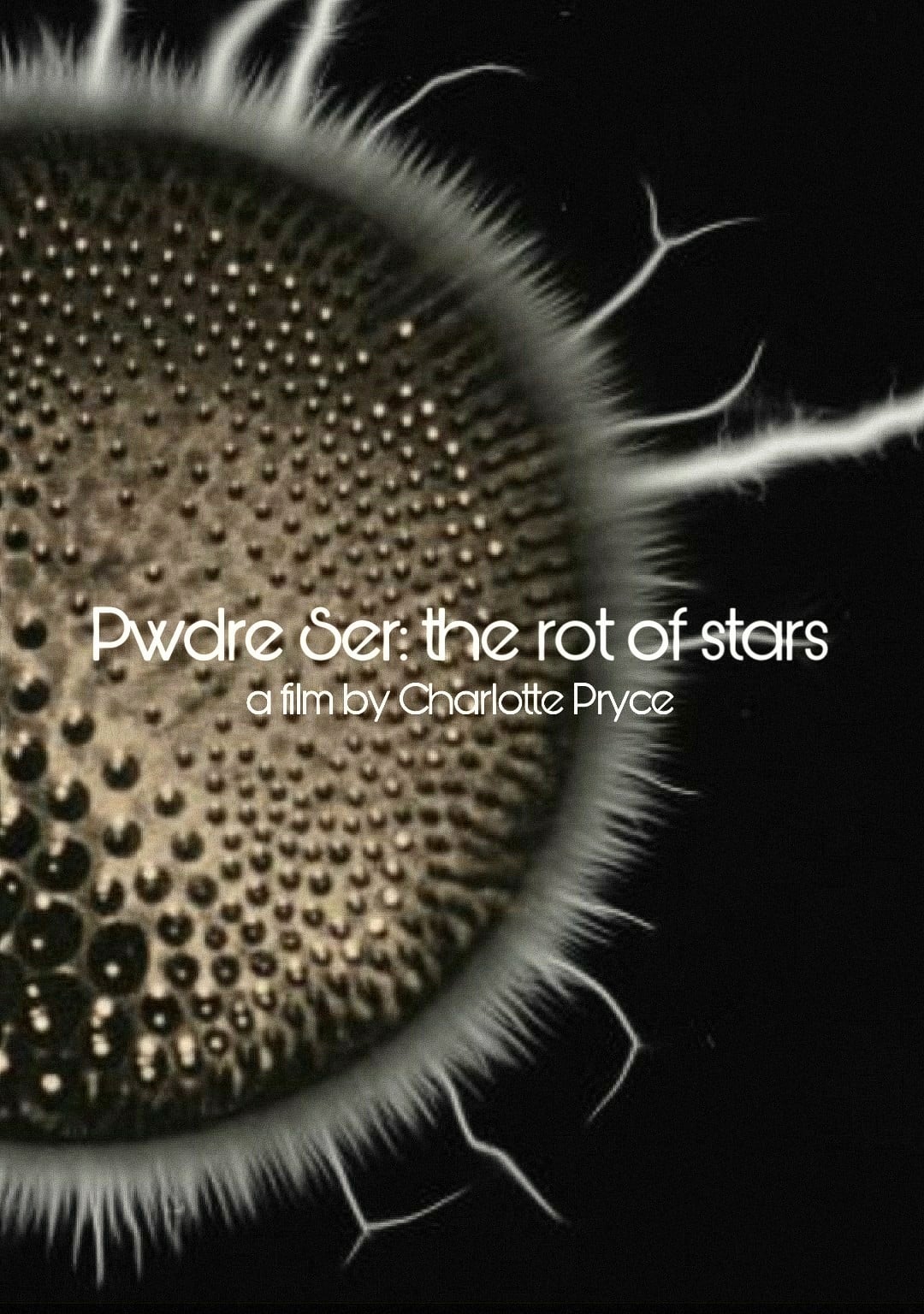 Pwdre Ser: the rot of stars