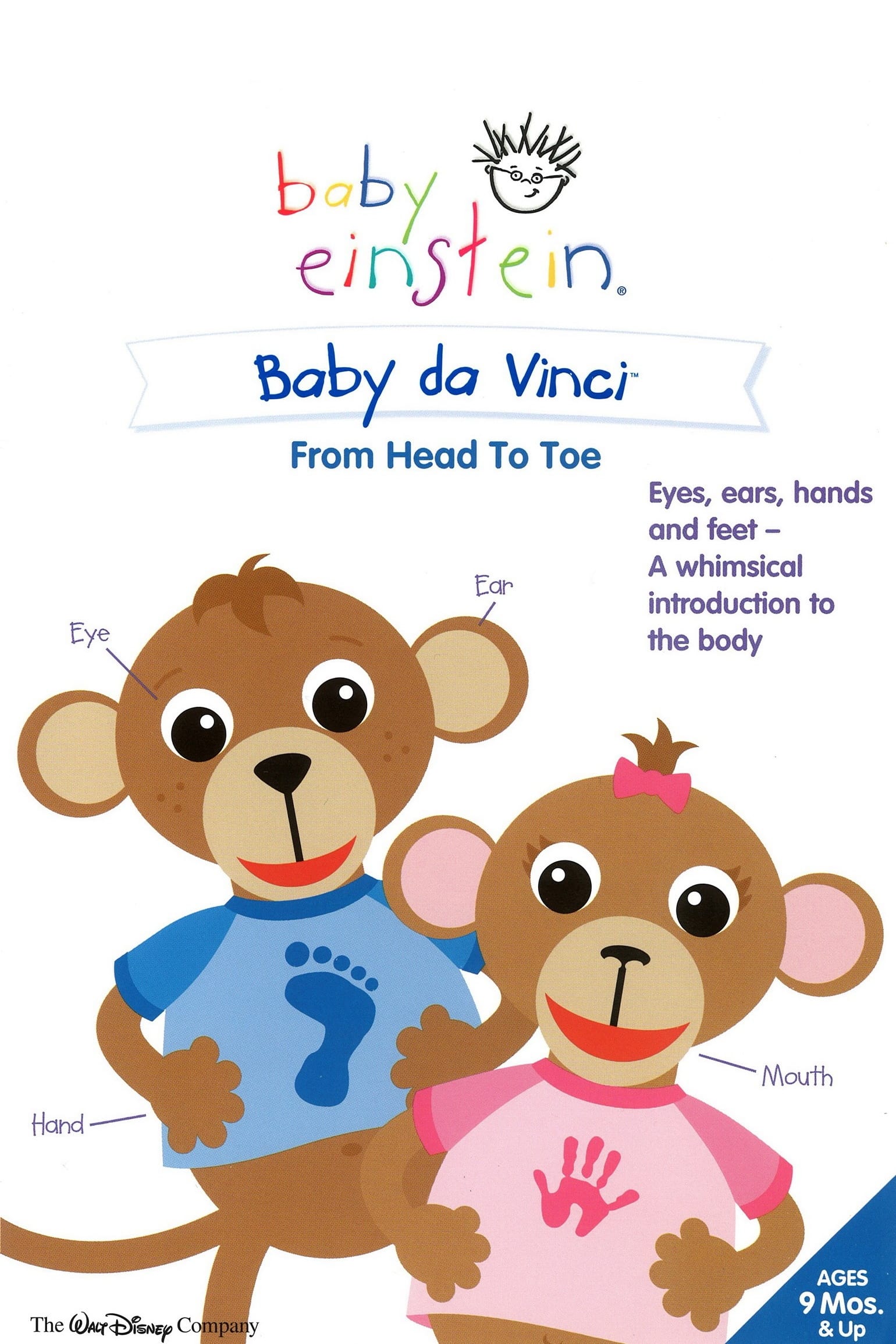 Baby Einstein: Baby Da Vinci (De la cabeza al pie)