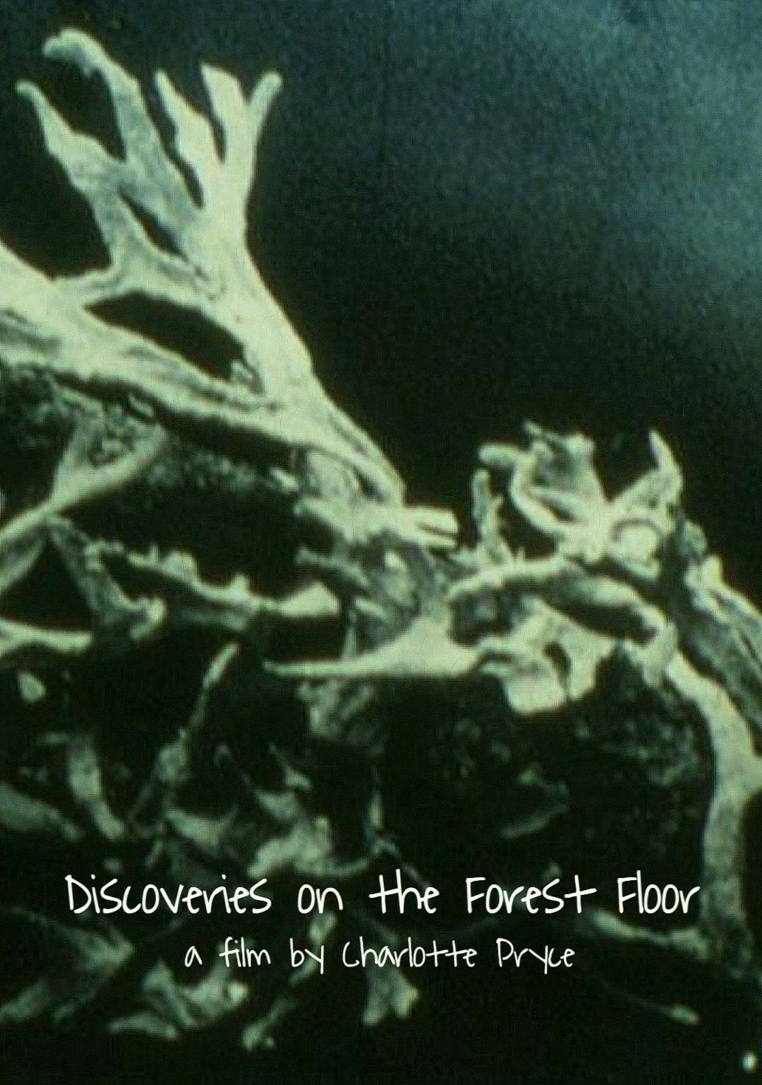 Discoveries on the Forest Floor 1-3