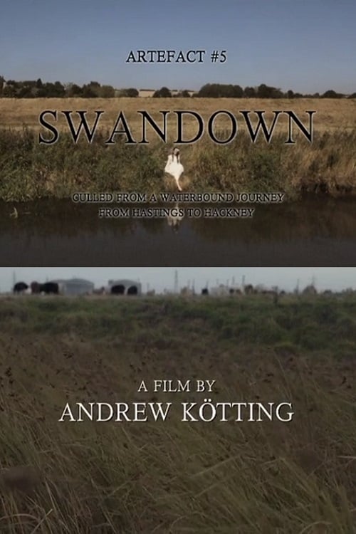 Artefact #5: Swandown – Culled from a Waterbound Journey from Hastings to Hackney