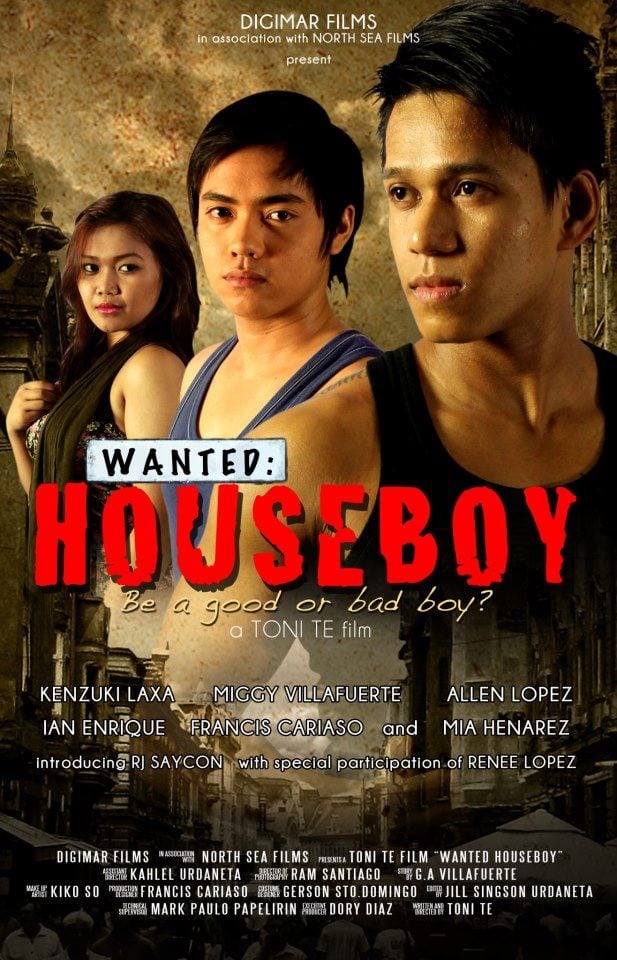 Wanted: Houseboy