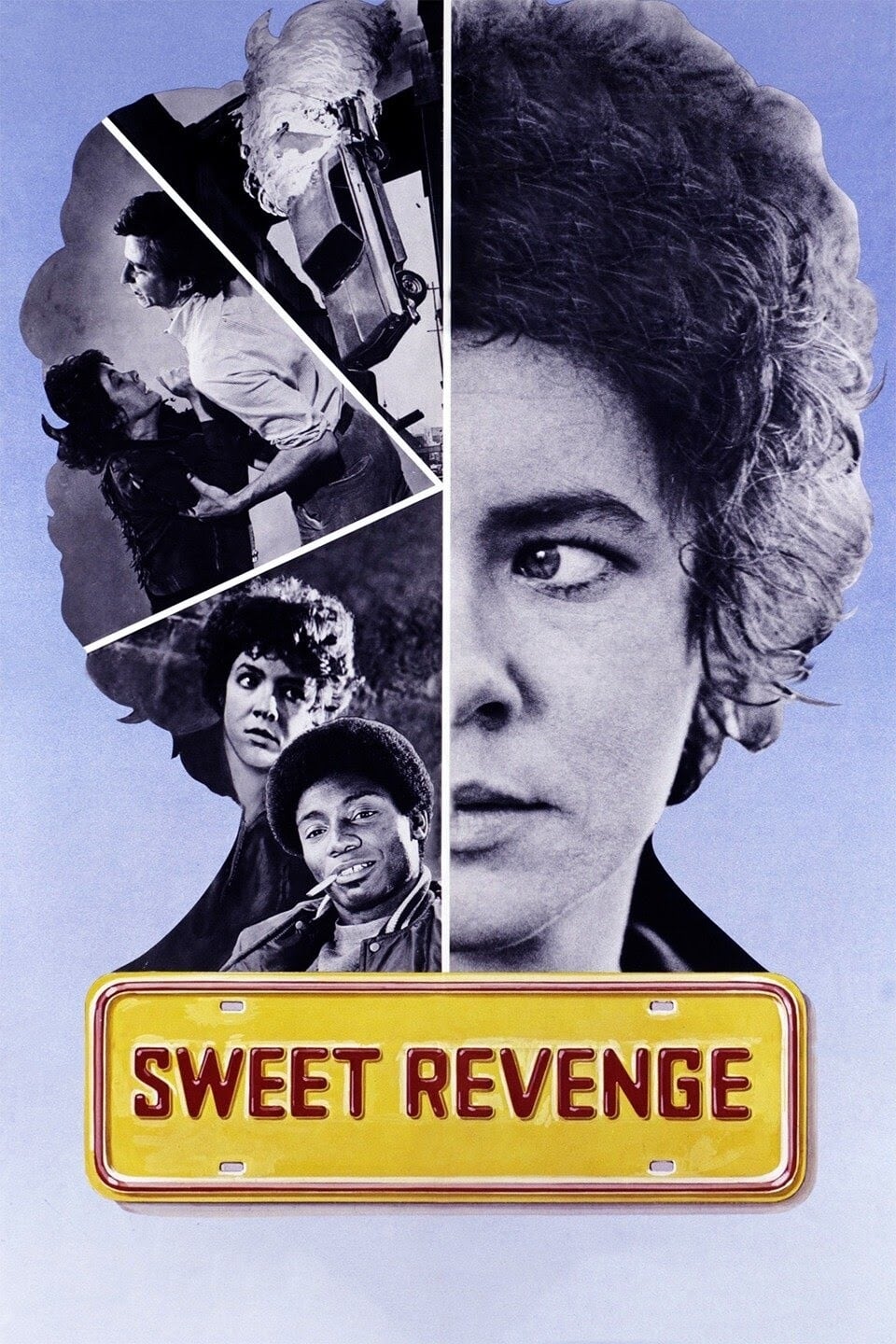 Sweet Revenge (1976)