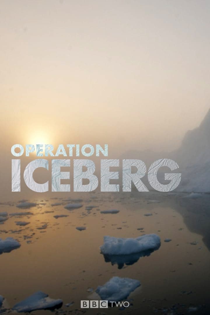Operation Iceberg