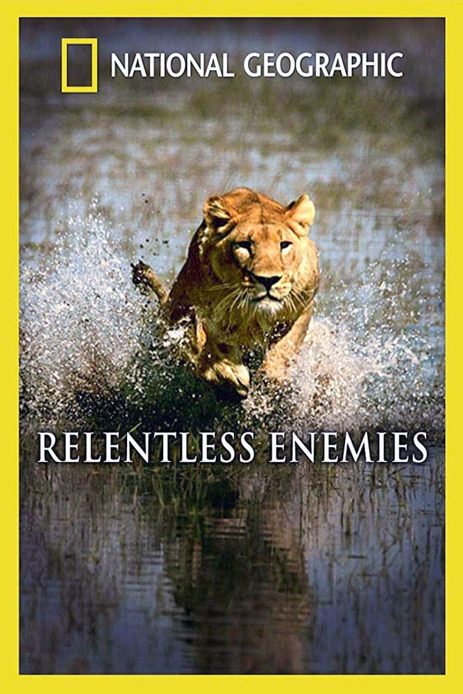 Relentless Enemies: Lions and Buffalo