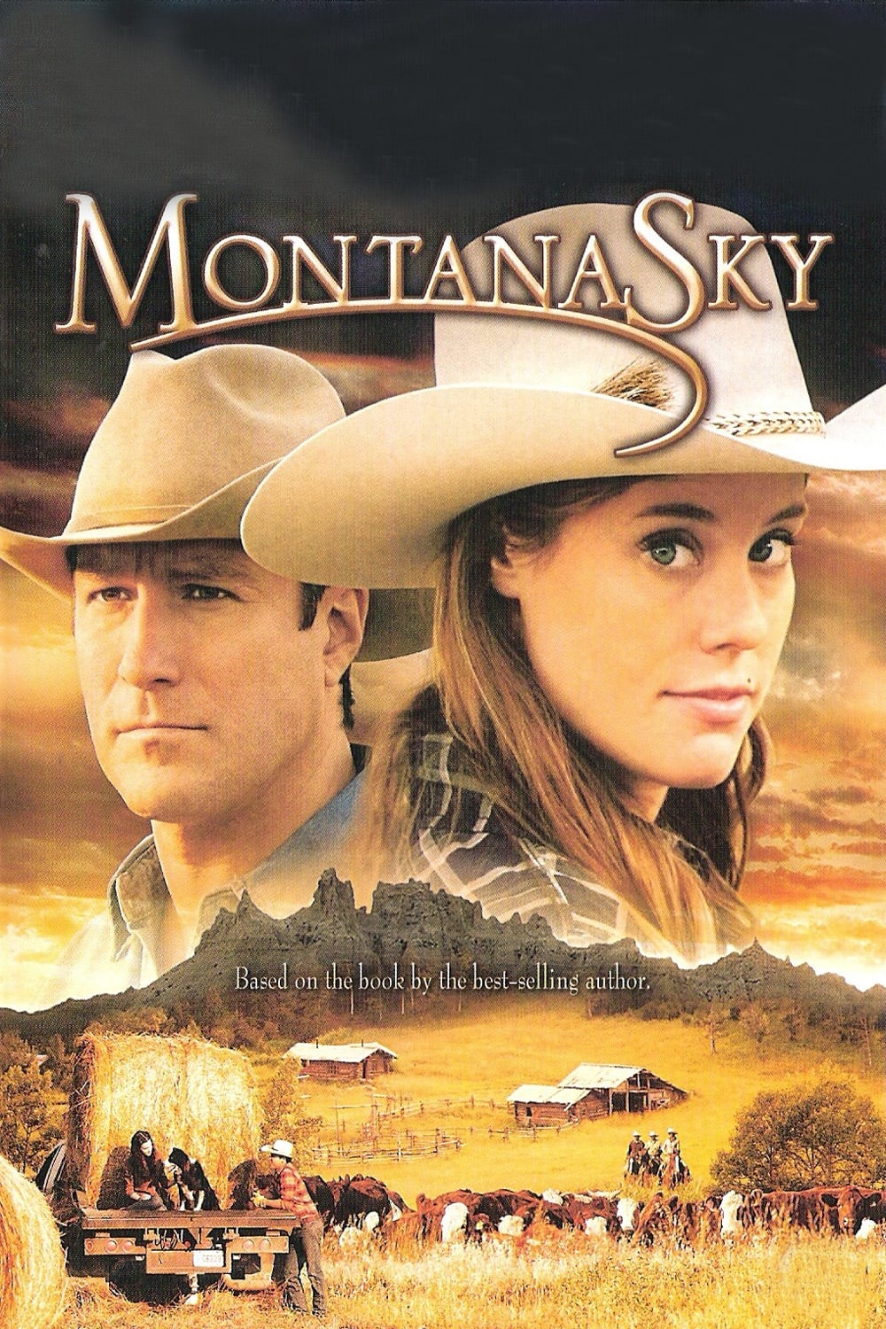 Nora Roberts’ Montana Sky (2007)