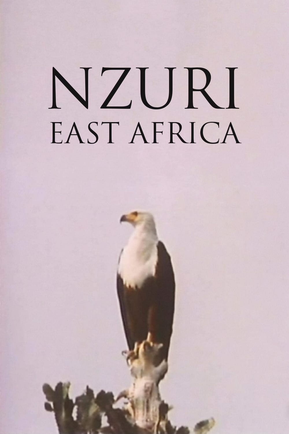 Nzuri: East Africa