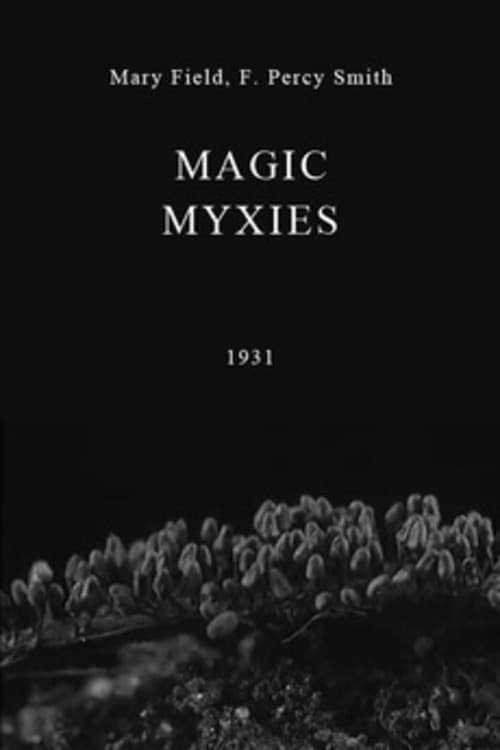Magic Myxies