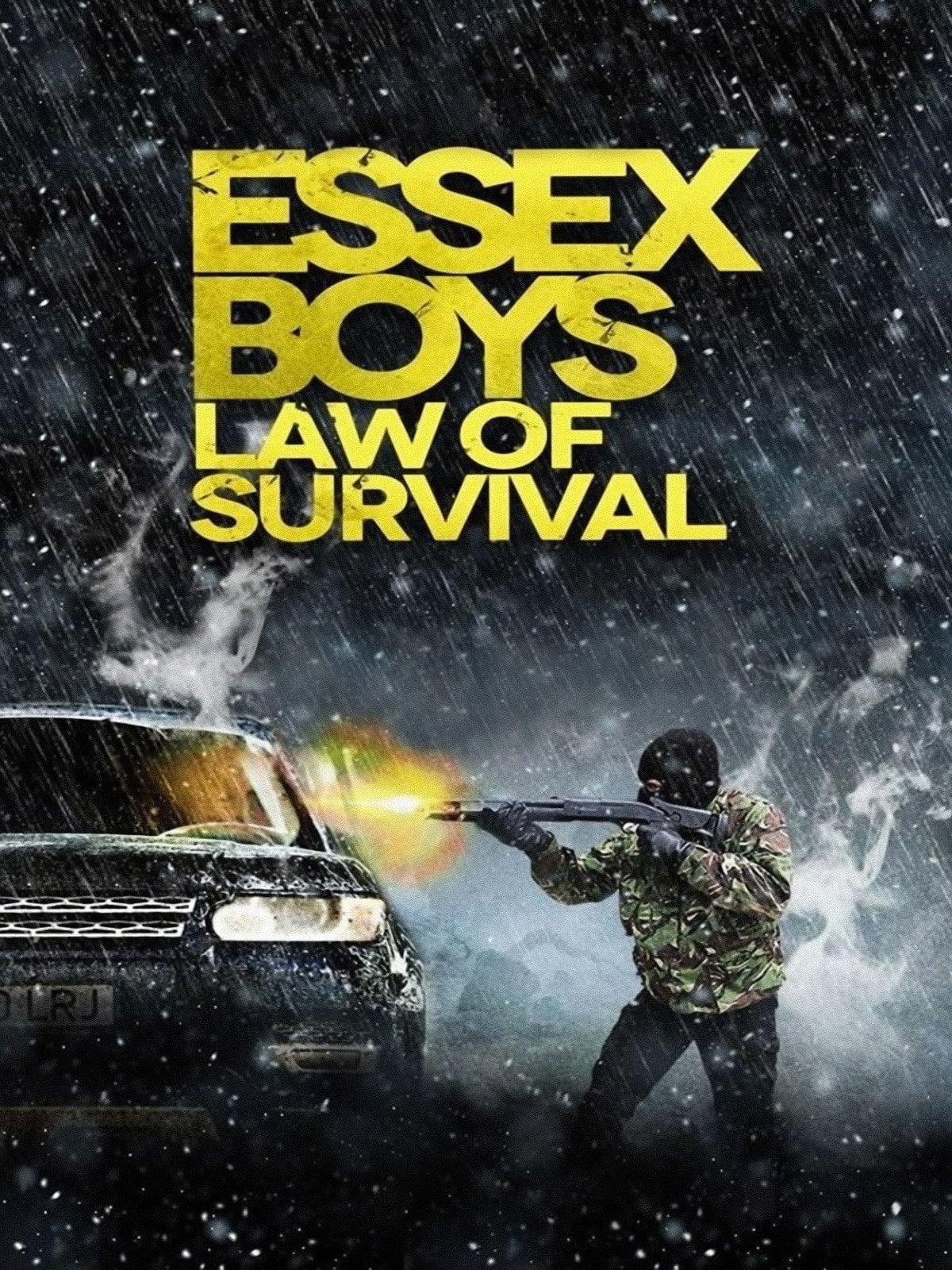 Essex Boys: Law of Survival