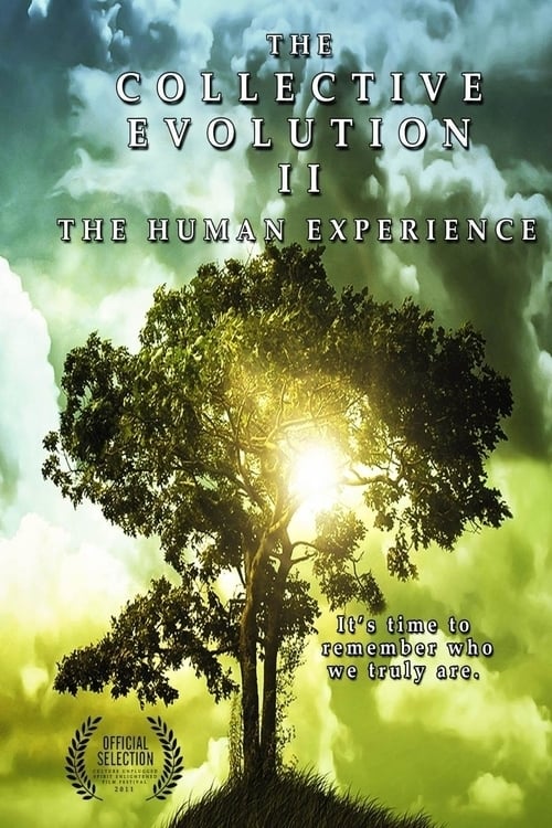 The Collective Evolution II: The Human Experience
