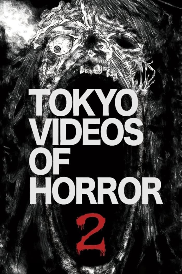 Tokyo Videos of Horror 2
