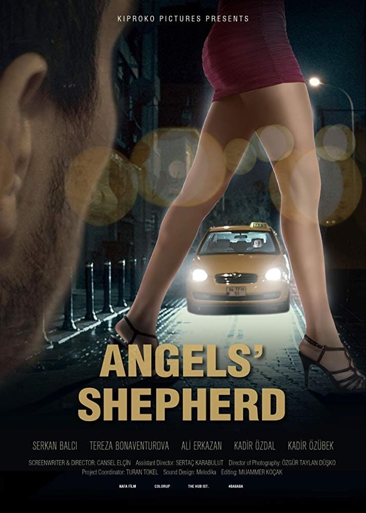 Angels'Shepherd