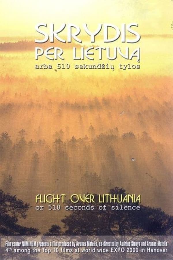 Flight Over Lithuania or 510 Seconds of Silence